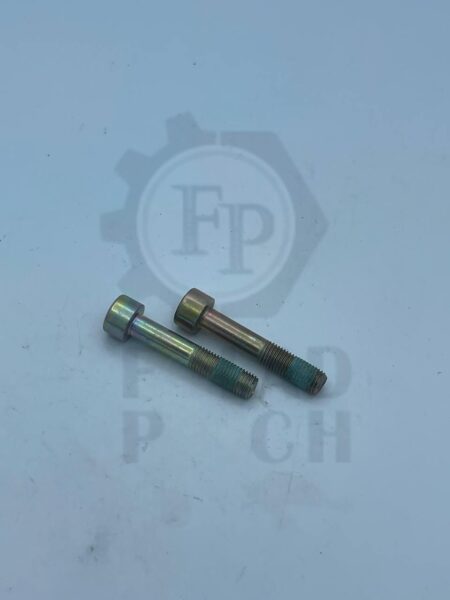 IMG_20241220_102055_283 پیچ هرزگرد تایم 206(آلن خور)ریز - Image 1